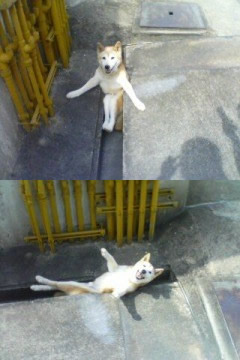 여보게_ 제발_ 나좀_ 꺼내주지_ 않겠나_ ㅠㅠ.jpg