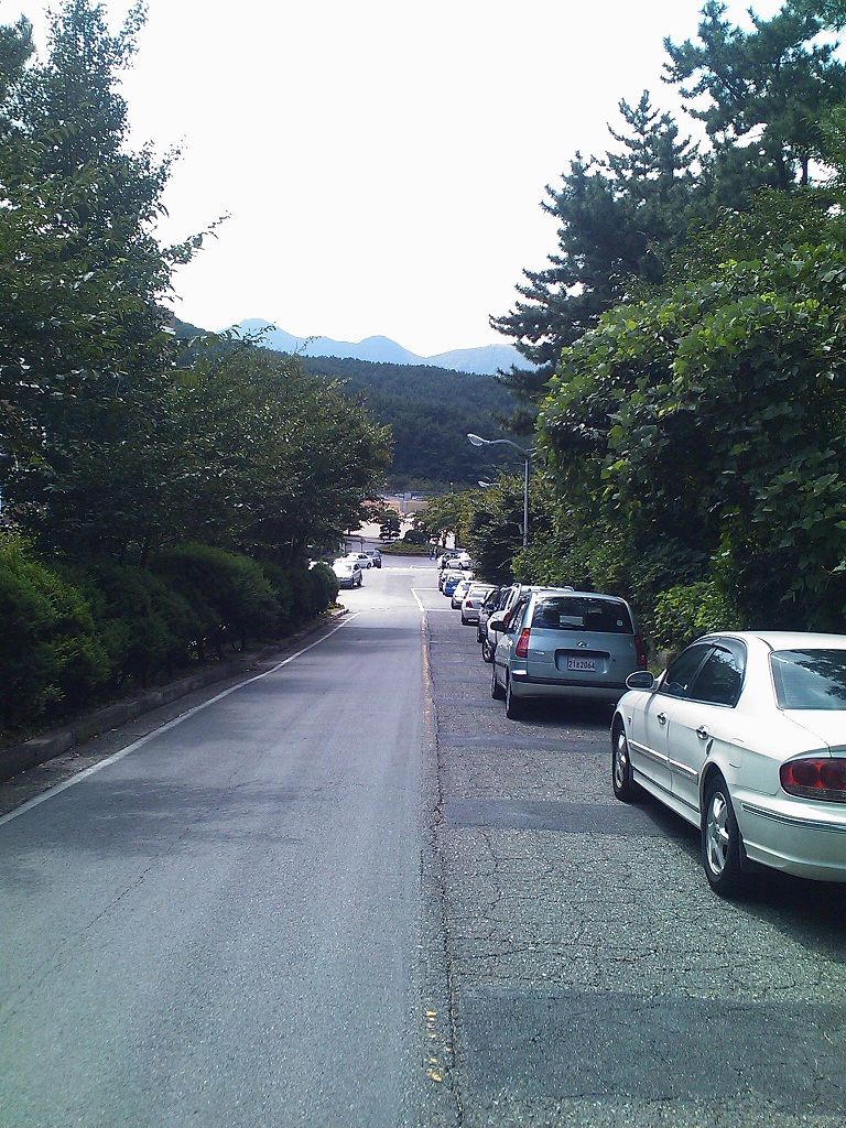 DSC_0001.jpg