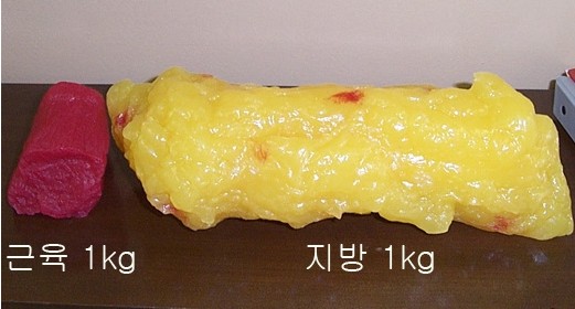 니뱃속에있는거야병시나.jpg