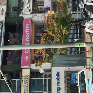 노리타