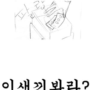 섯다 좀 칠줄 아는사람 있음?