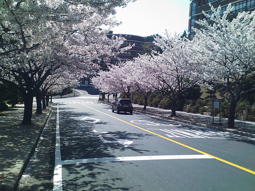 학교.jpg