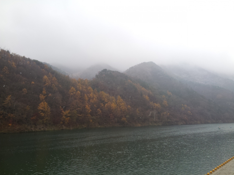 DSC_0079~01.JPG