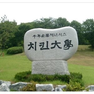 이 대학 가면 먹고살수 있냐.jpg