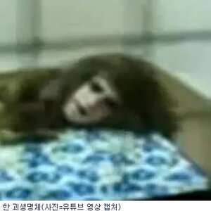 늬들아 안녕