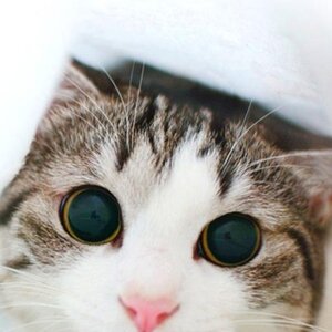 안녕하세요