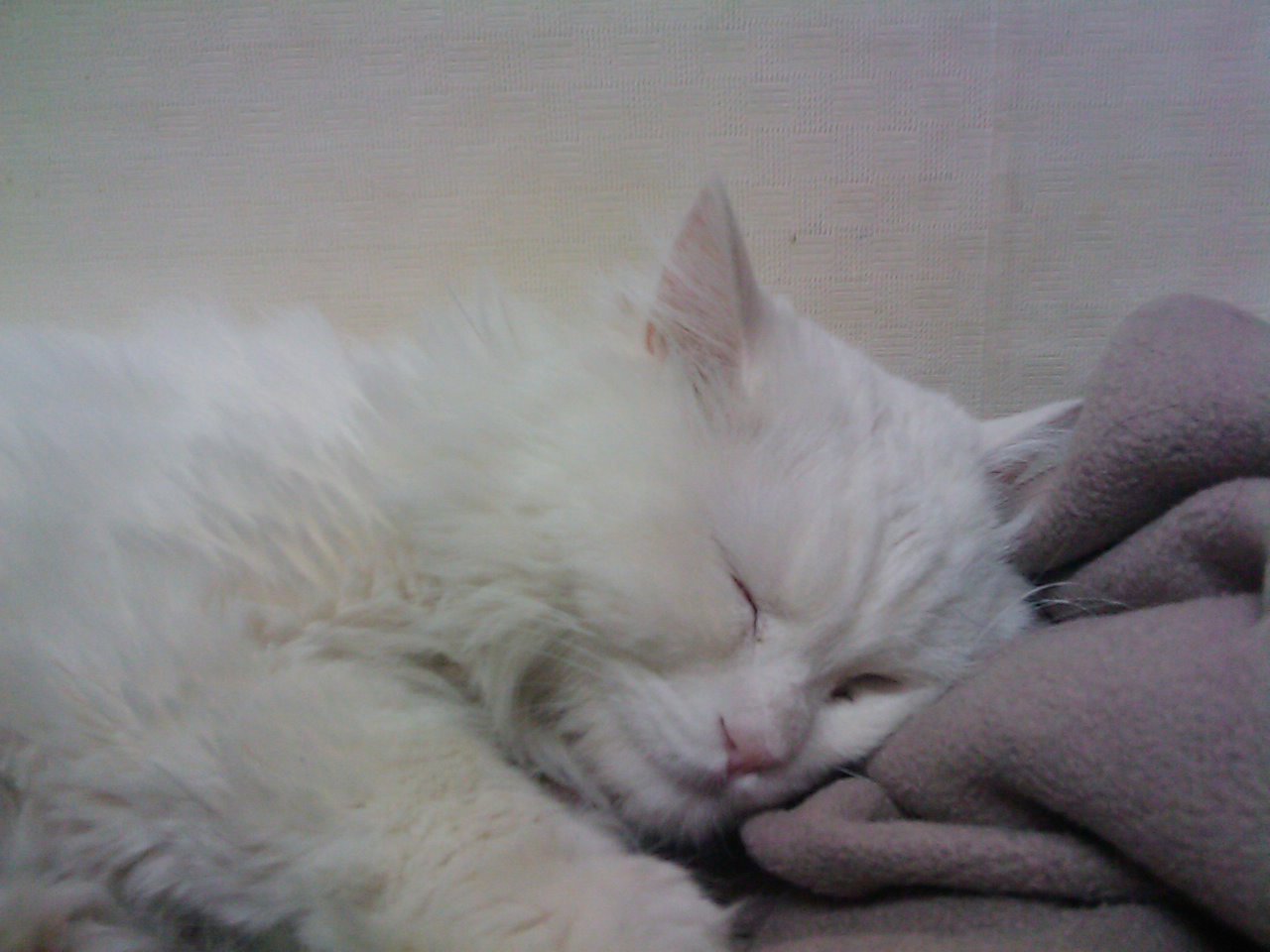 201001232049_001.jpg