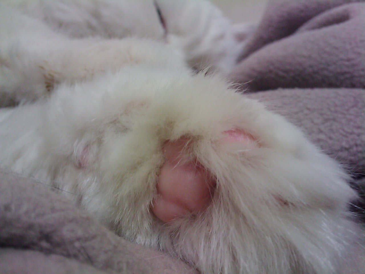 201001232049_004.jpg
