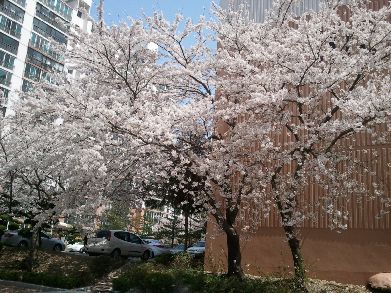 크기변환_2011-04-09 12.19.41.jpg