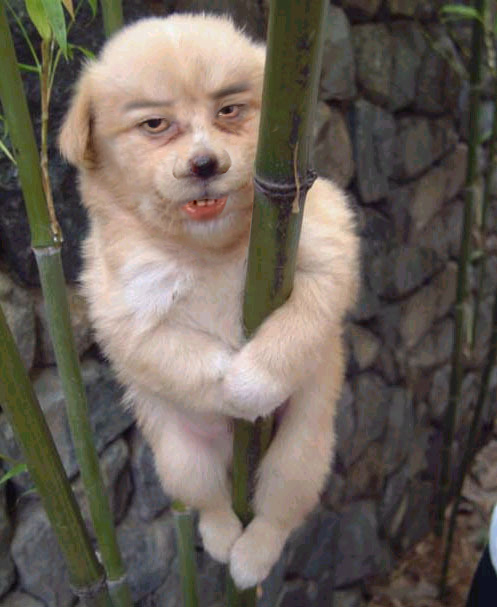 콩죽이.jpg