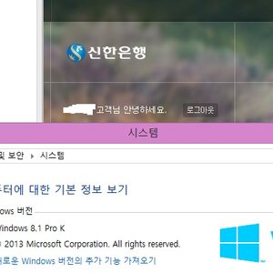 뭐!?익스 11에선 신한은행이 안된다고!!???