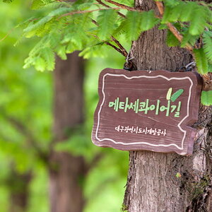 나 오늘 대구 갔다옴 ㅇㅇ.