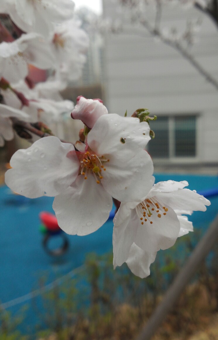 IMG_20130428_210204.jpg