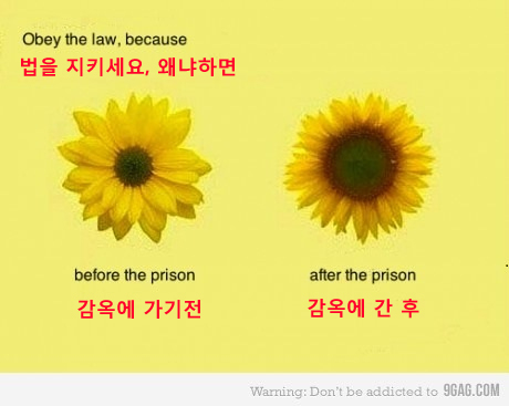 obey.jpg