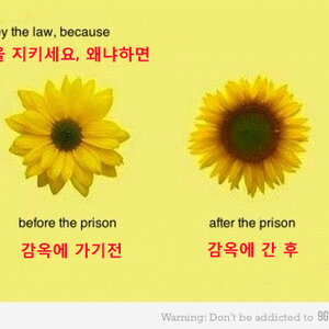 존나 공익광고라고 생각할수도있겠찌