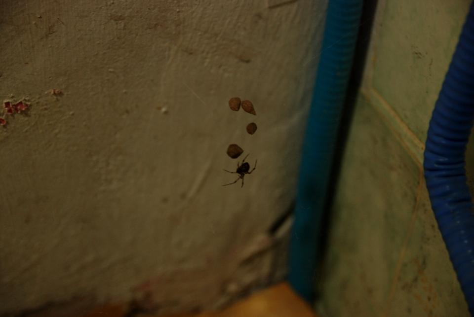 DSC_0056.jpg