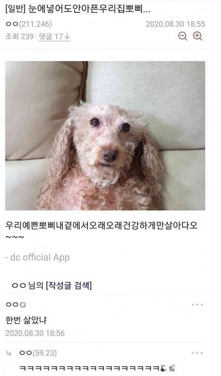 c0Mdm1g53bpf_ertetewrt.jpeg.jpg