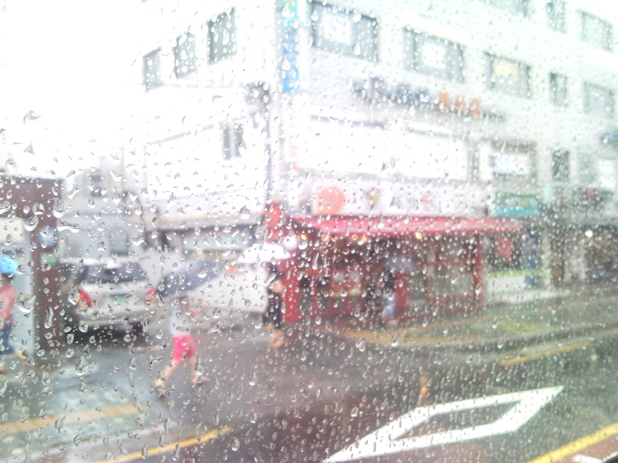 -P100829001.jpg