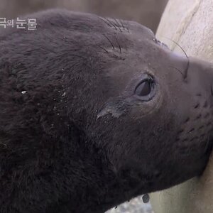 귀여운애들 존나 많당
