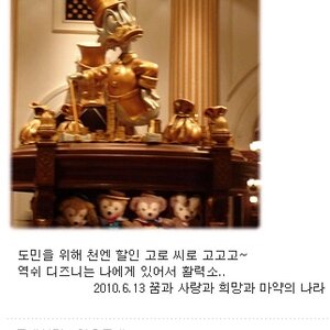 야이 도민이라고 천엔 할인이라는데 내가 우찌알아