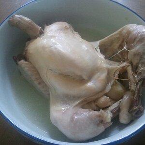 내일 복날이네