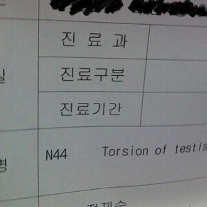 의사도 울고 나도 울었다.jpg