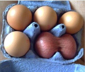jpg
