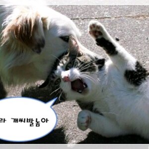상큼한 월요일♥