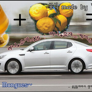 원피스재밌넼ㅋㅋ