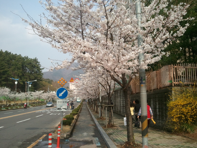 크기변환_2011-04-08 16.09.39.jpg