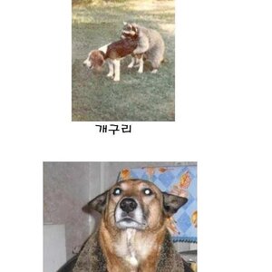 늬들아 안녕
