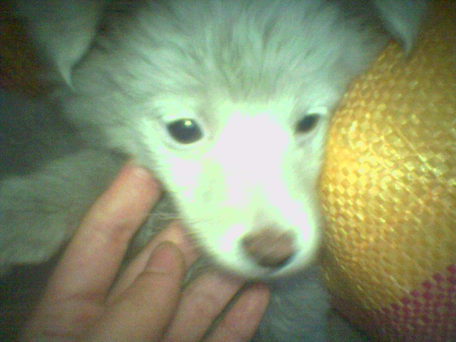 아따 그놈참-8_20041126170329.jpg