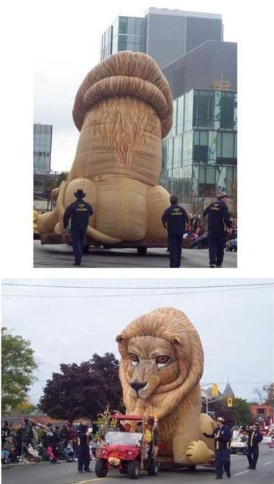 사자조깐네.jpg