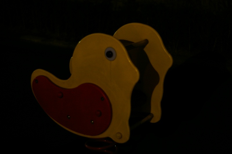 IMGP9589.JPG