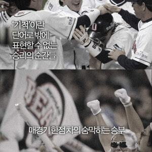 감동짤