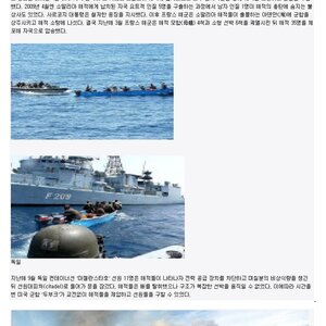 각국의 해적 퇴치 방법