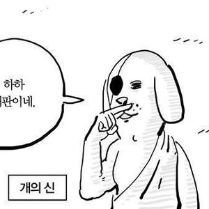 트위터 개드립.(이번 해적 잡은거)