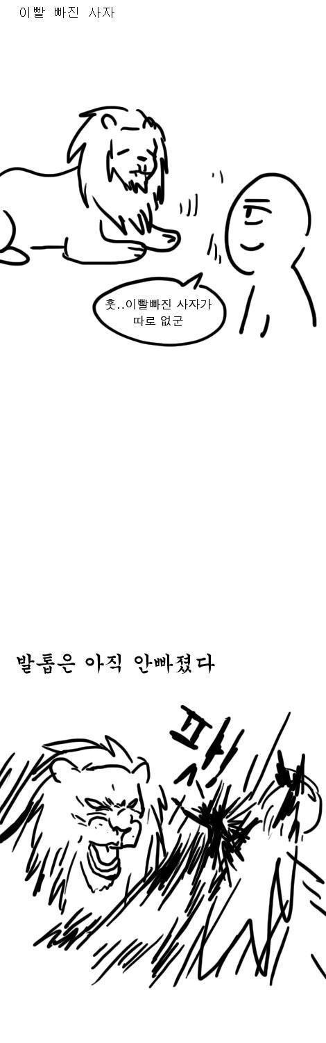 사자.jpg
