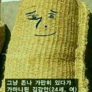 게임의 유해성.txt