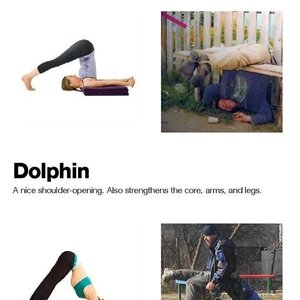 술과 요가의 공통점