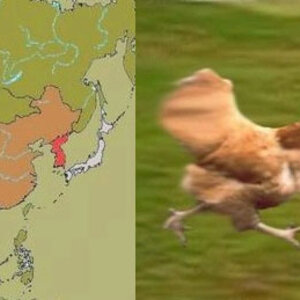 동북아 현재 상황.jpg