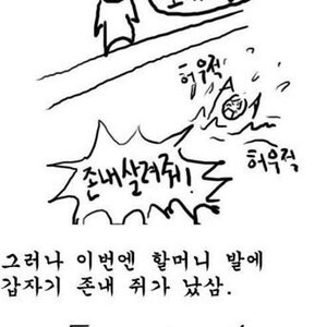 양치기할머니의 최후