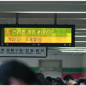대놓고 월도 인증.jpg