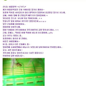 야 사람들이 이거 보고 웃던데 왜 웃는거냐??