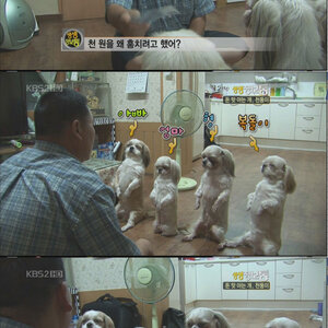 개훈계