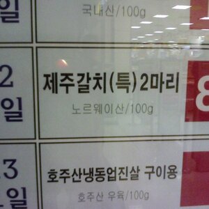 제주갈치