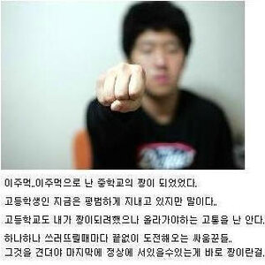 주먹으로 평정했다