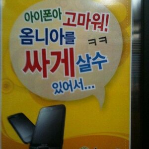 자폭