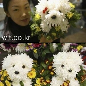 개같은 꽃