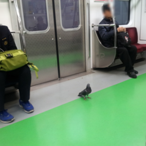 여긴 어디 난 누구